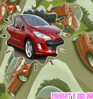 Peugeot 308 20021
